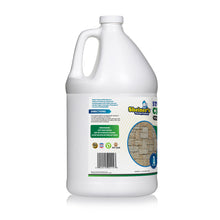 Load image into Gallery viewer, Stone and Tile Cleaner - Sheiner's cleaning products