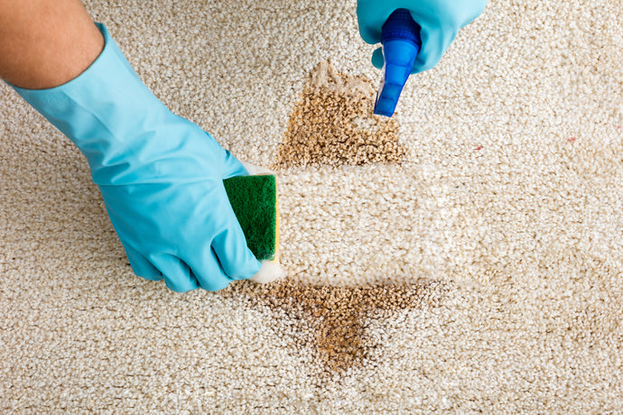 5 Easy Ways to Get Odors Out Of The Carpet In a New Home
